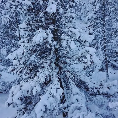 بيت للعطل Casa La Ribera Camaleño