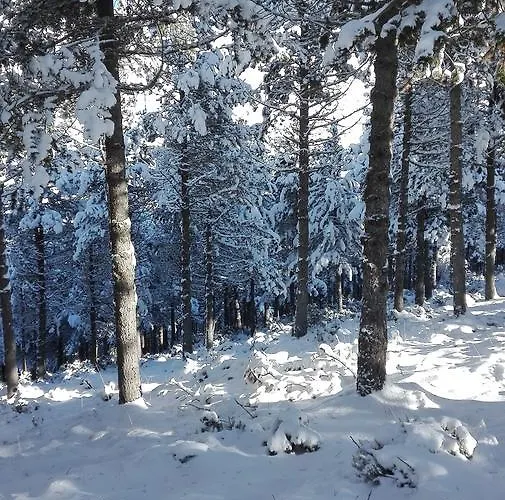 Casa La Ribera * Camaleño